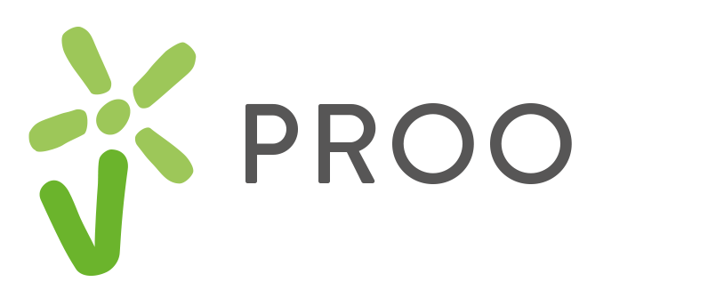 Rządowy Program Rozwoju Organizacji Obywatelskich na lata 2018–2030 PROO